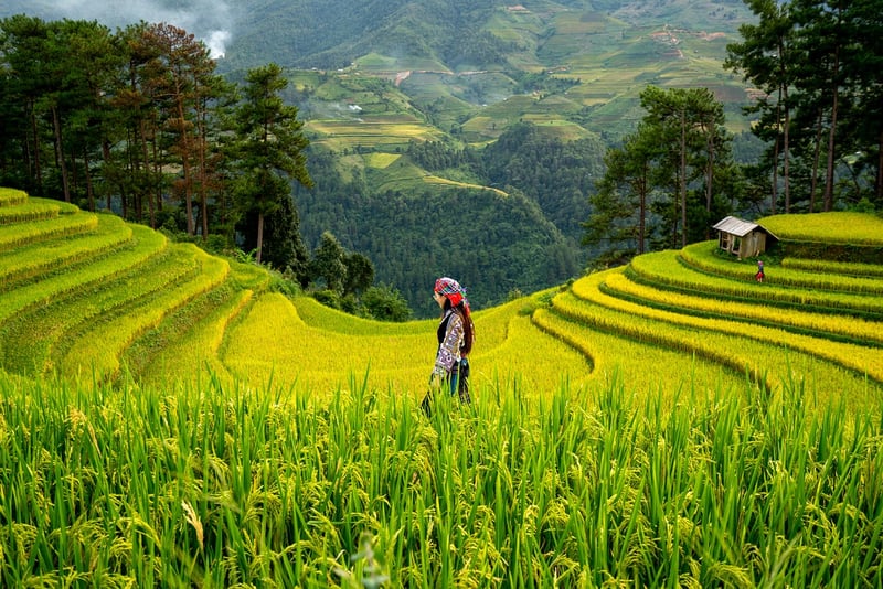 Eco-Friendly Practices
