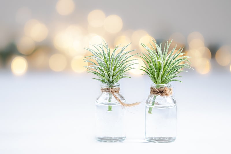 Upcycled Glass Jars